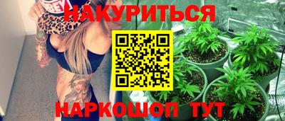 индика Ливны