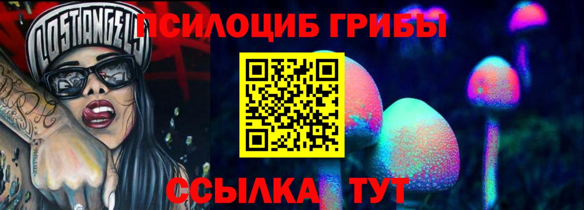 Галлюциногенные грибы GOLDEN TEACHER Солнечногорск